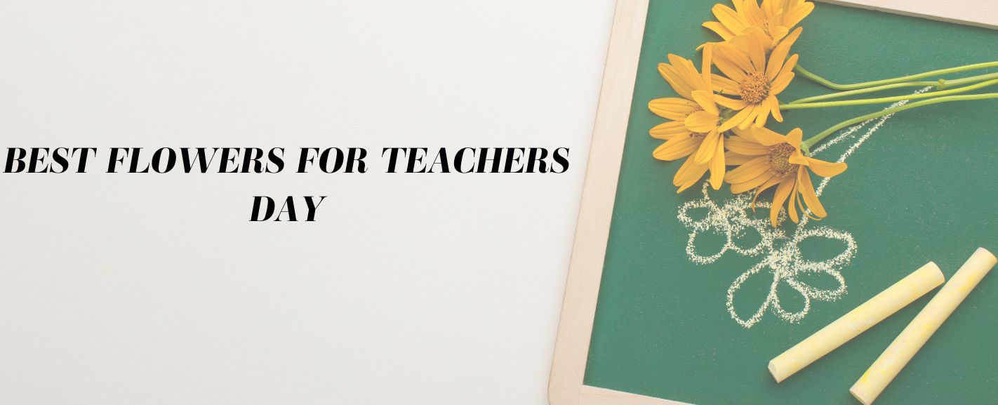 12 Best Flowers for Teacher’s Day Ode a la Rose