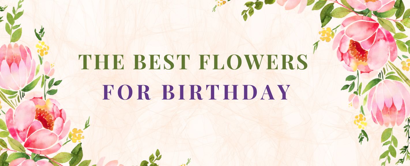 How to choose the best Birthday Flower