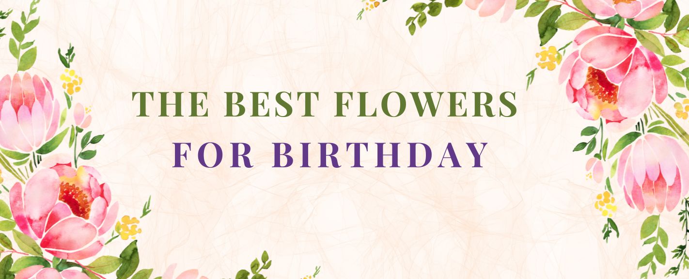 Best birthday flower deals