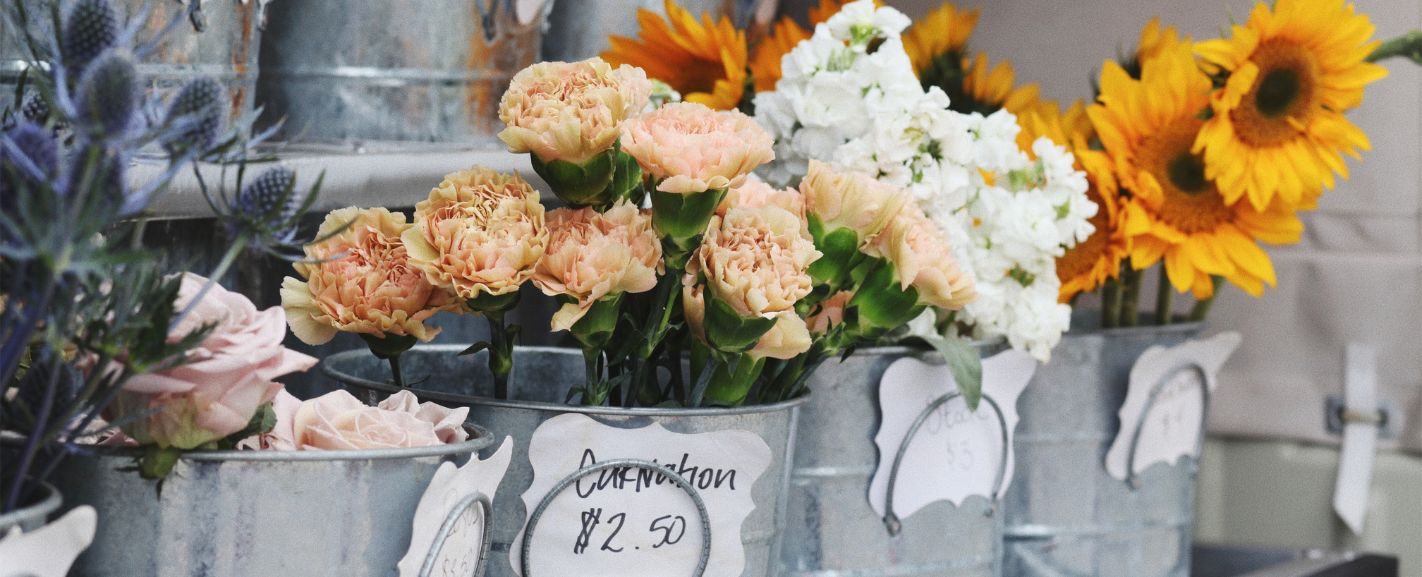 Flowers in Season in August Complete Guide