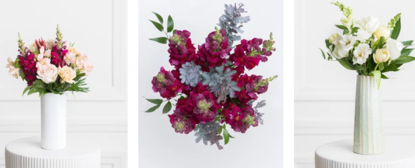 March Flowers in Season A Complete Guide