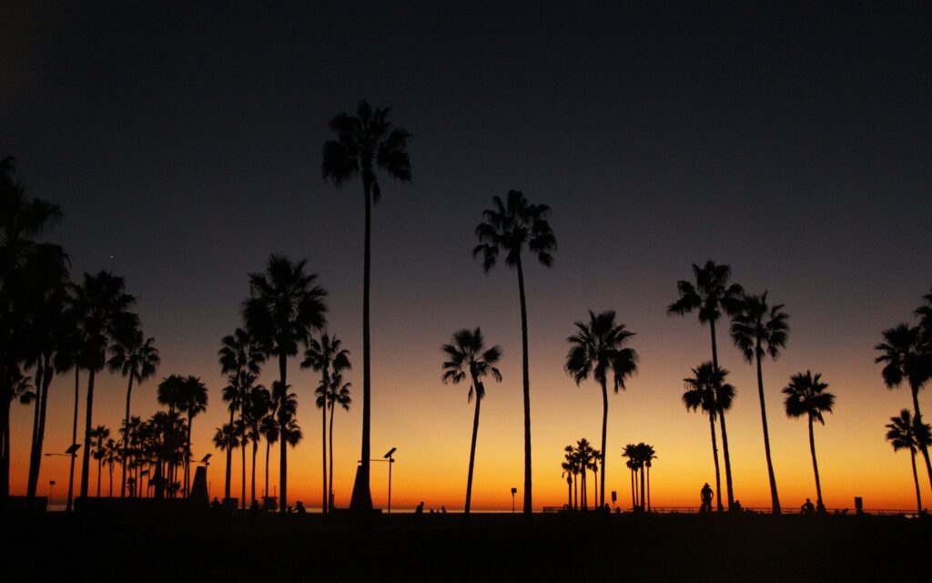Golden-Hour Beach Walk