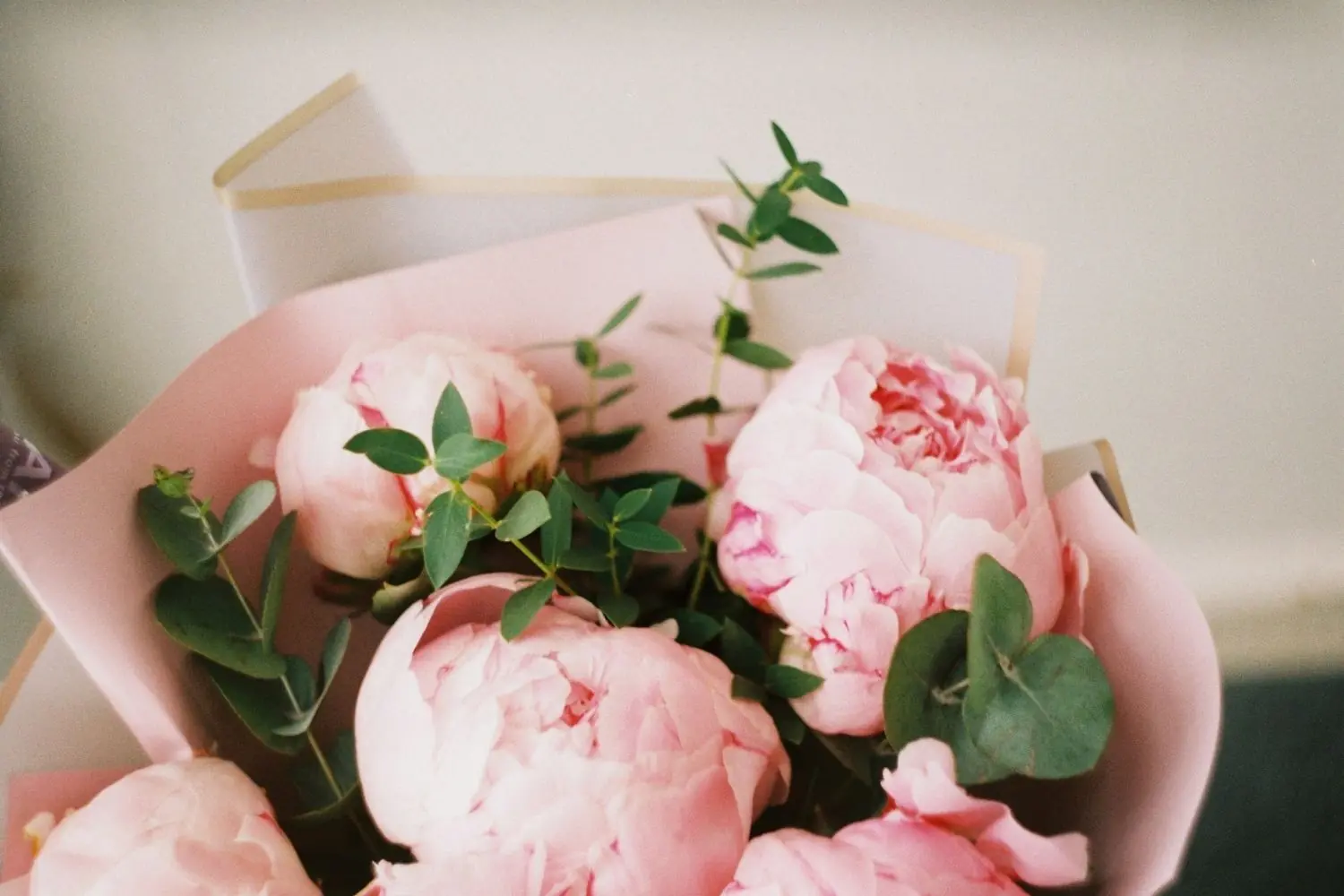 Wonderful Peonies Box with Eucalyptus