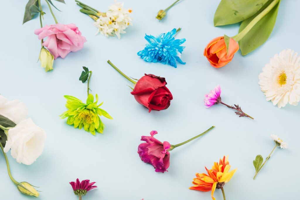 Flower Color Meanings