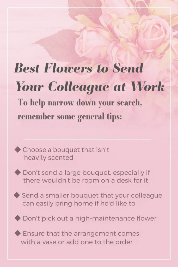 Best Flowers to Send to the Office