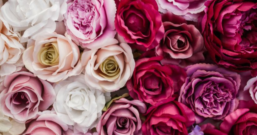 Pairing Pink Roses in Floral Arrangements