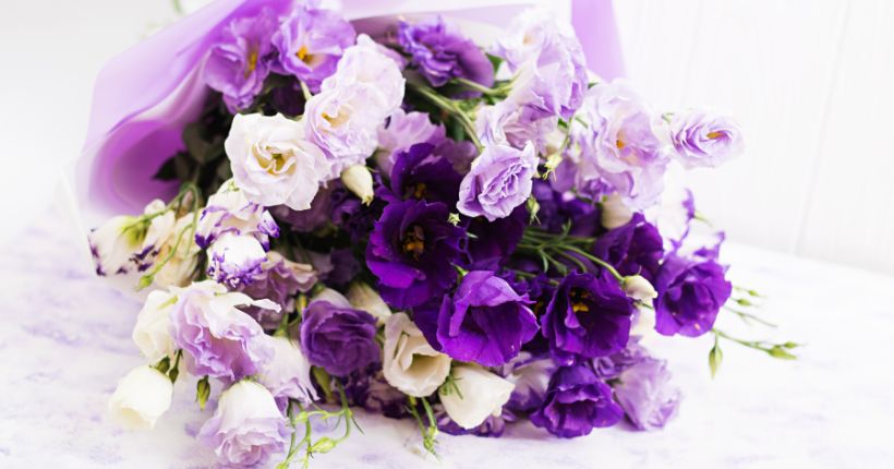 Shades of Purple Roses