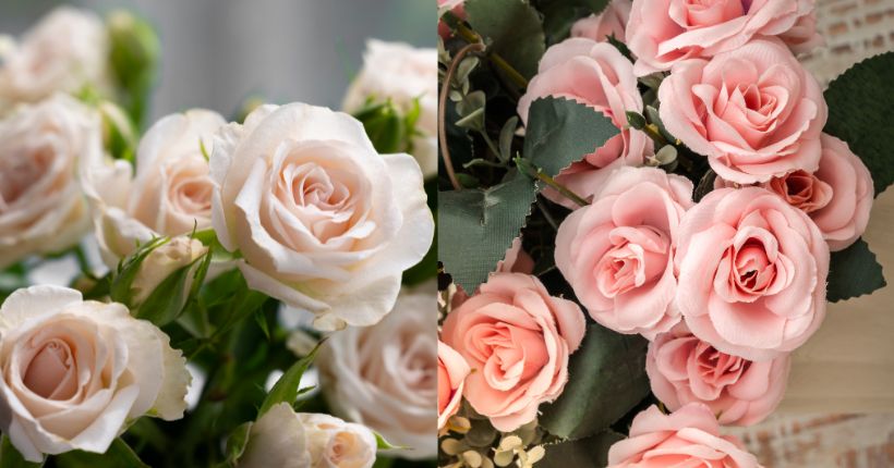White Roses vs. Other Colors