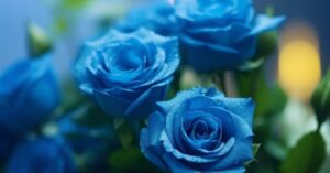Blue Roses Meaning
