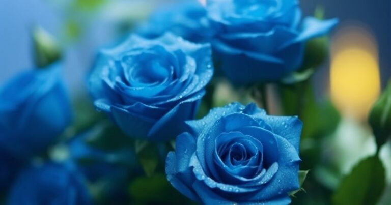 Blue Roses Meaning