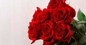 Red Roses Meaning