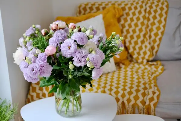Best Occasions for Purple Peonies