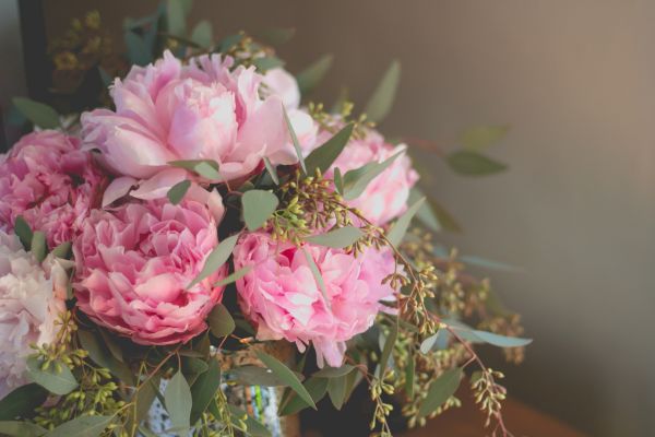Choosing the Right Peony Color for Every Occasion