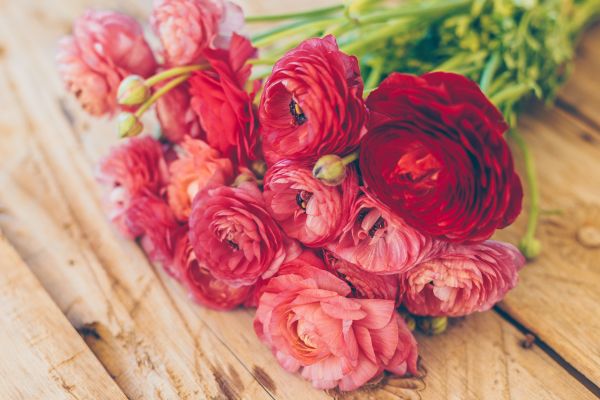 Cultural Significance of Red Peonies