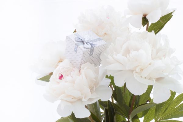 What Does a White Peony Symbolize