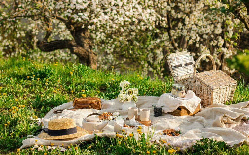 Austin Lifestyle Gifts