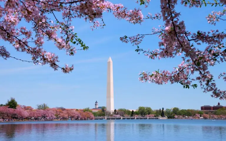 Valentine’s Day Ideas in Washington D.C.