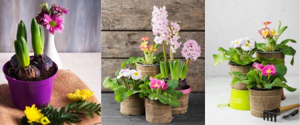 Garden-Style Arrangements