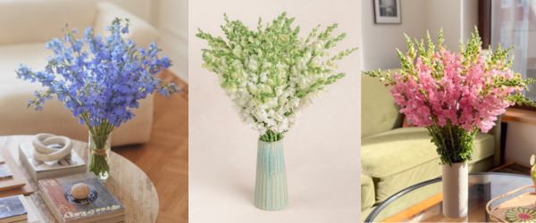 Single Variety Arrangements