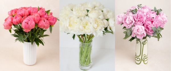 peonies for mothers day