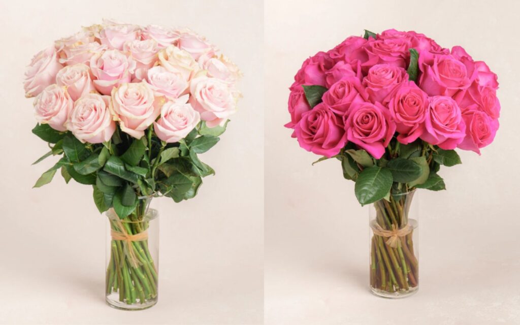 roses for mothers day