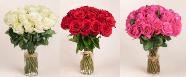 roses for mothers day