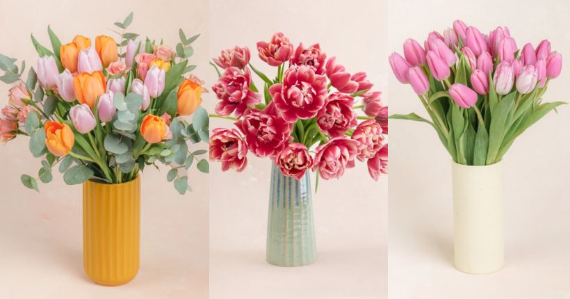 tulips for mothers day