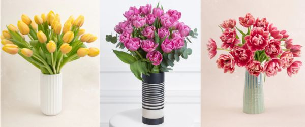 tulips for mothers day