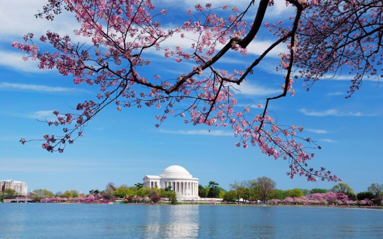 mothers day washington dc