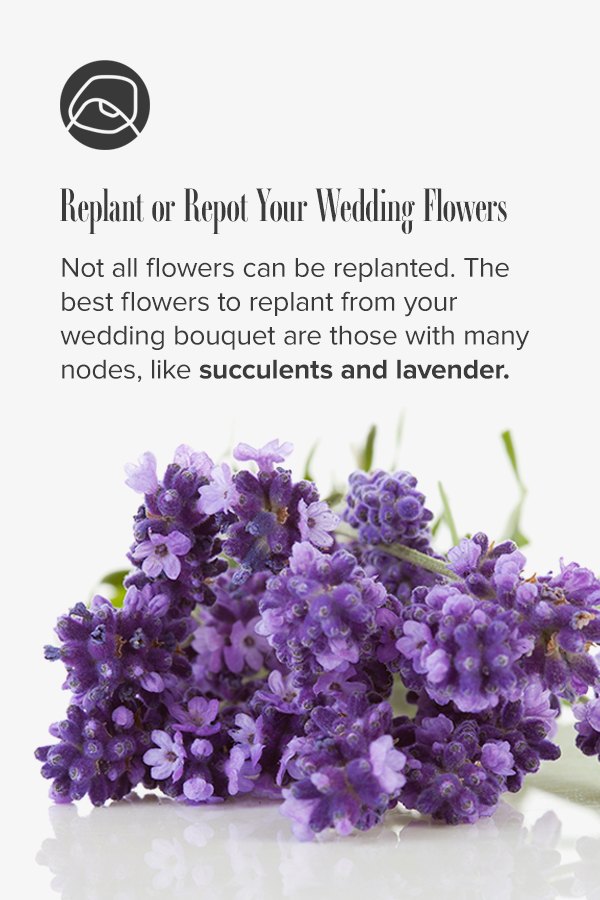 replant wedding flowers