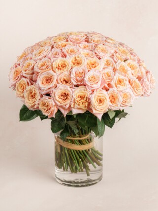 R2000 Roses 100 Roses For Delivery | Red, White & Pink | Ode à la Rose