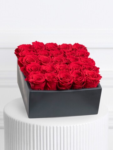 amelia roses