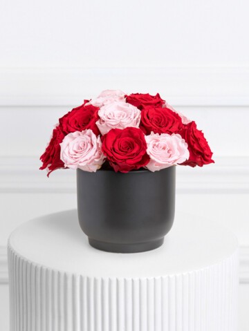 Round Elodie - 20 Roses in a Stunning Circular Arrangement