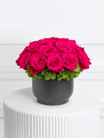Round Isabelle - 20 Roses in a Beautiful, Balanced Display