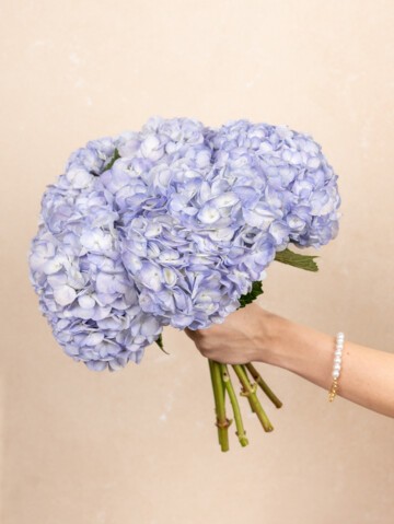 Blue Hydrangea bouquet being held by a woman