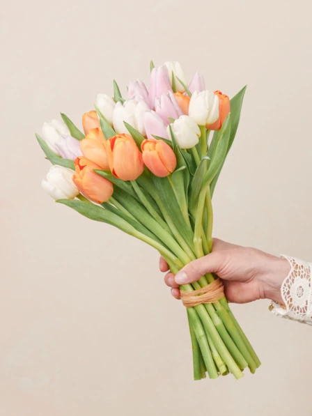 Justine | Pink, Orange, and White Tulips | 21 stems