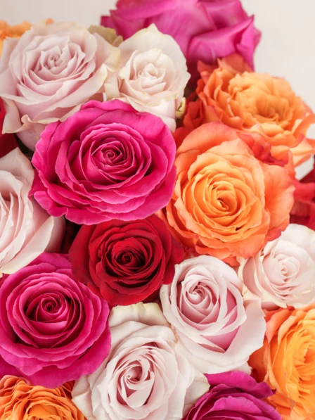 The Aline Bouquet (Large) | 36 Red, Pink, Gold, Hot Pink Roses