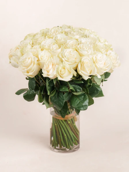 ROSE❣️ 50 White Rose Bouquet Delivery | Grand Amour | Ode à la Rose