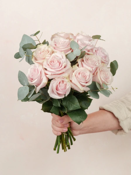 Brigitte - 12 Pink Rose Bouquet Delivery