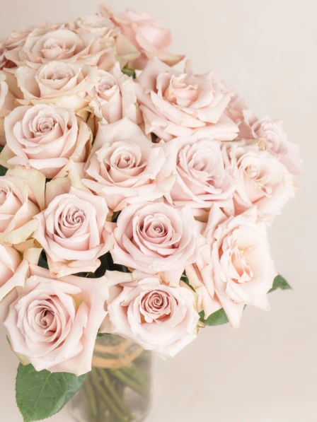 専用ページROSE☆ROSE様 大人可愛いオーダー 36 Quicksand Rose Bouquet Delivery | 3 Dozen Quicksand Roses | Ode