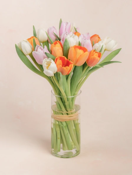 Justine | Pink, Orange, and White Tulips | 21 stems