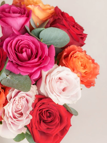 The Aline Bouquet (Small) - 12 Roses in Vibrant Shades