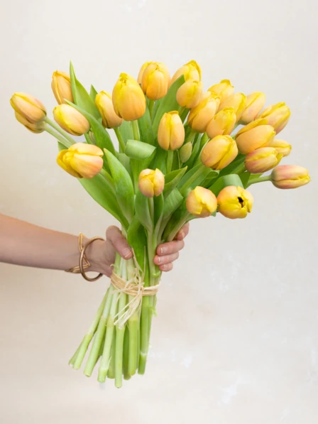 フランス U&C サルグミンヌ　bouquets d'oeillets アンティーク ピシェ JARDINIERE フランス サルグミンヌ製 U&C