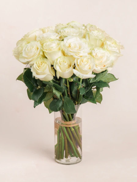 phpNcla7W-68c1af1e880d0.webp