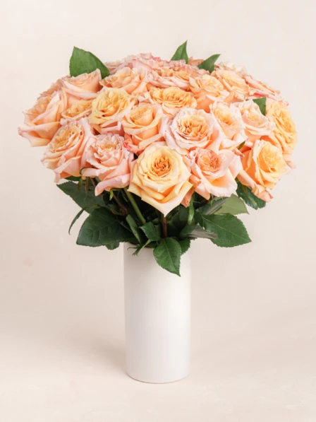 ピーチローズ peach rose 新品未開封 3個セット 36 Peach Rose Bouquet Delivery | 3 Dozen Peach Roses | Ode à la Rose