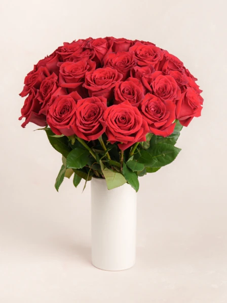 【love rose様】専用・赤360g×3≪リクエスト特割特価≫ phpXoNfJw-68c19d6391e41.webp