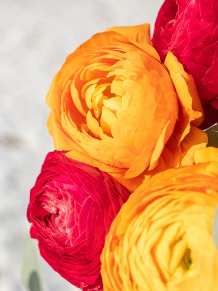 Suzie Bouquet | Pink, Orange, & Blush Ranunculus