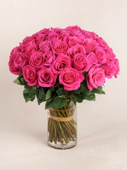 Grand Tilda - 75 Premium Pink Floyd Roses