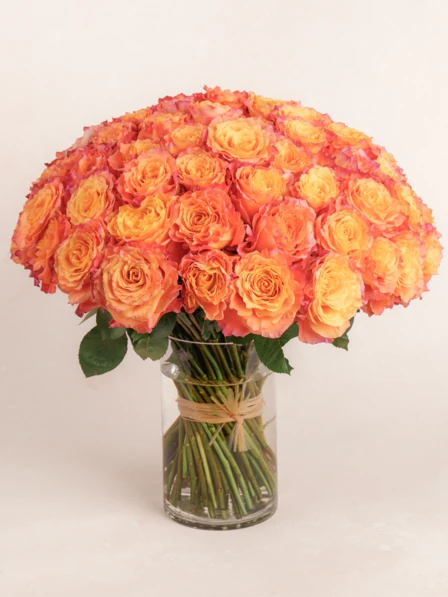 Grand Soleil - 75 Free Spirit Orange Roses