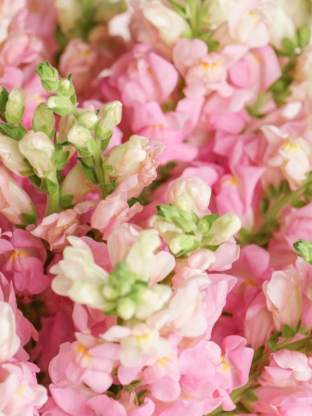 phpk566B1-68c2e369e4145.webp